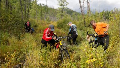 Photo of Велосипеды: плюсы и минусы